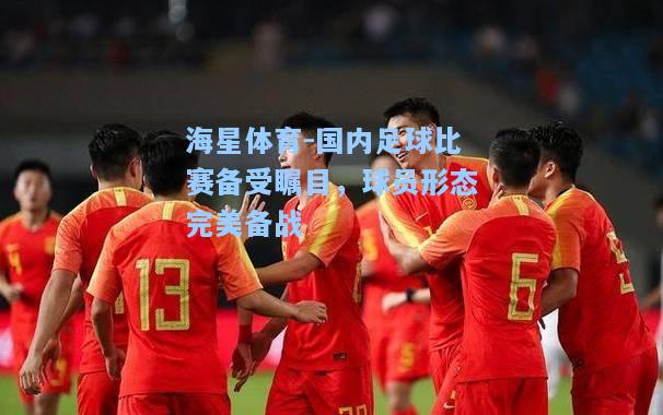 海星体育-国内足球比赛备受瞩目，球员形态完美备战  第2张